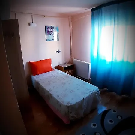 Casa Silvian Maison d'hôtes *